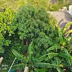 Thiru Nakshatra Family Guest House