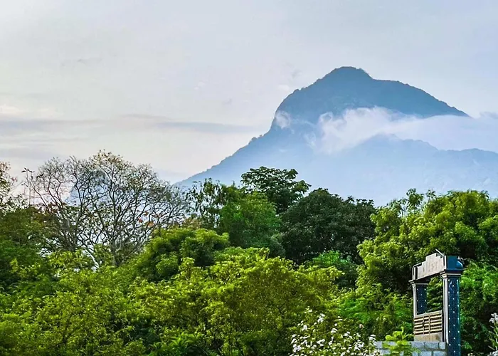 Athma Aruna Stayinn Thiruvannamalai