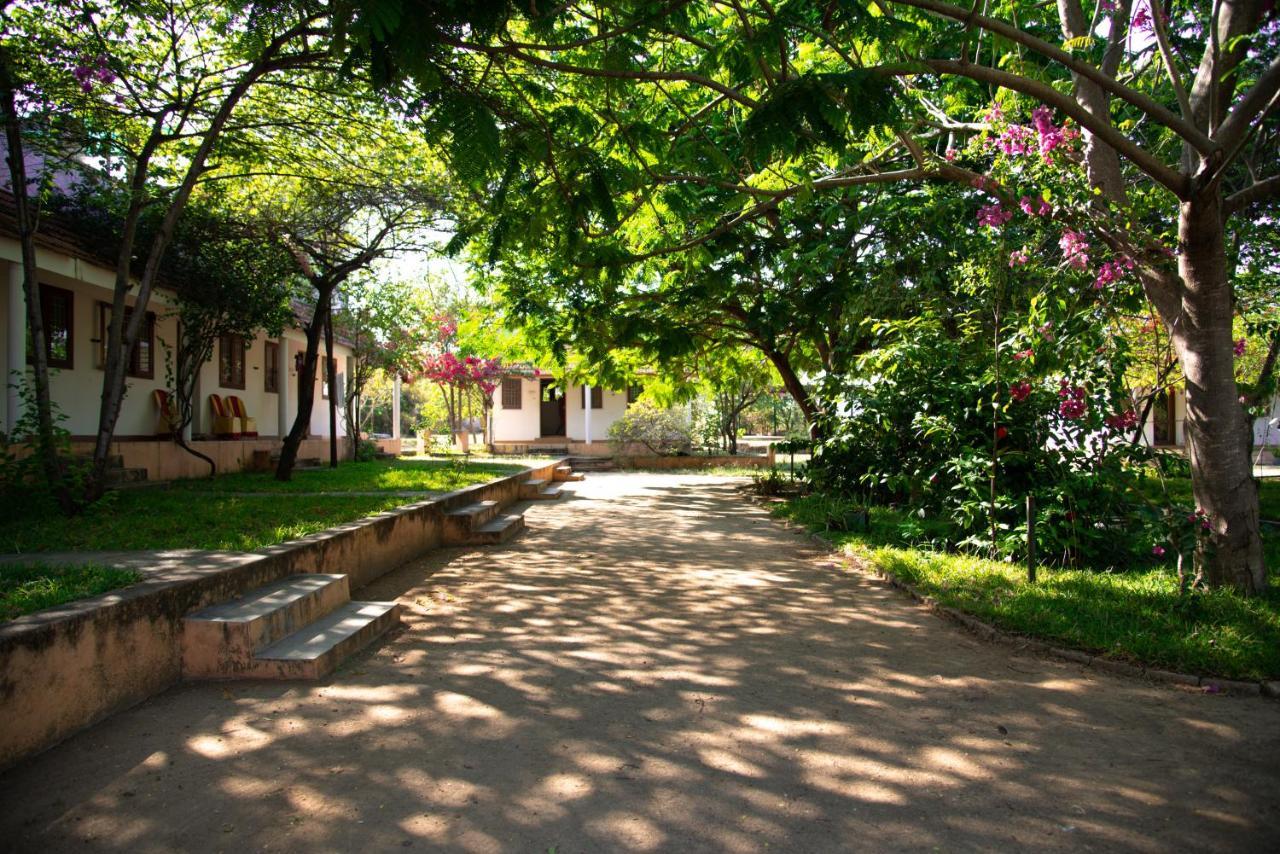 The Mountain Retreat * Tiruvannamalai