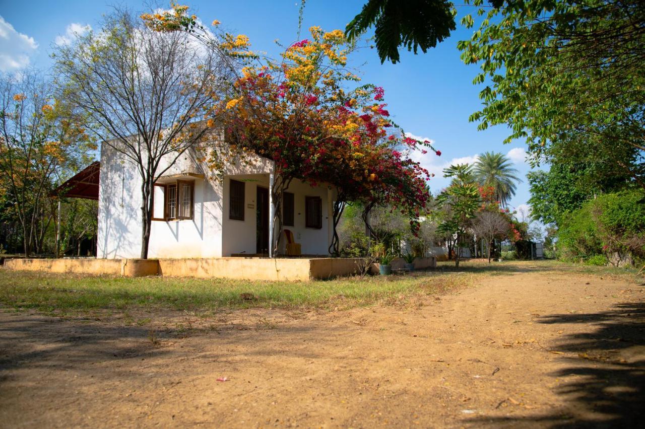 The Mountain Retreat * Tiruvannamalai
