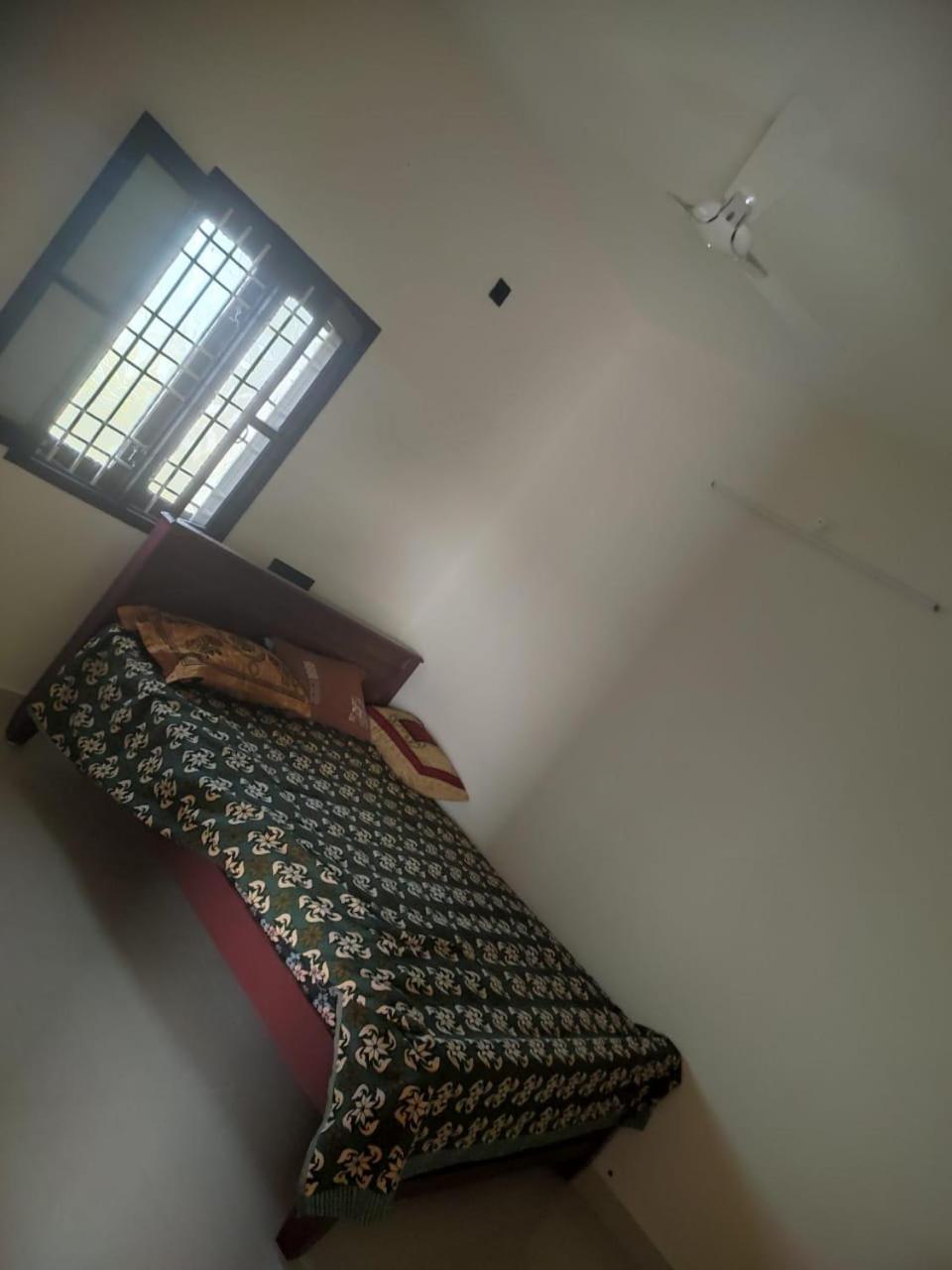 Homestay Mountain View *