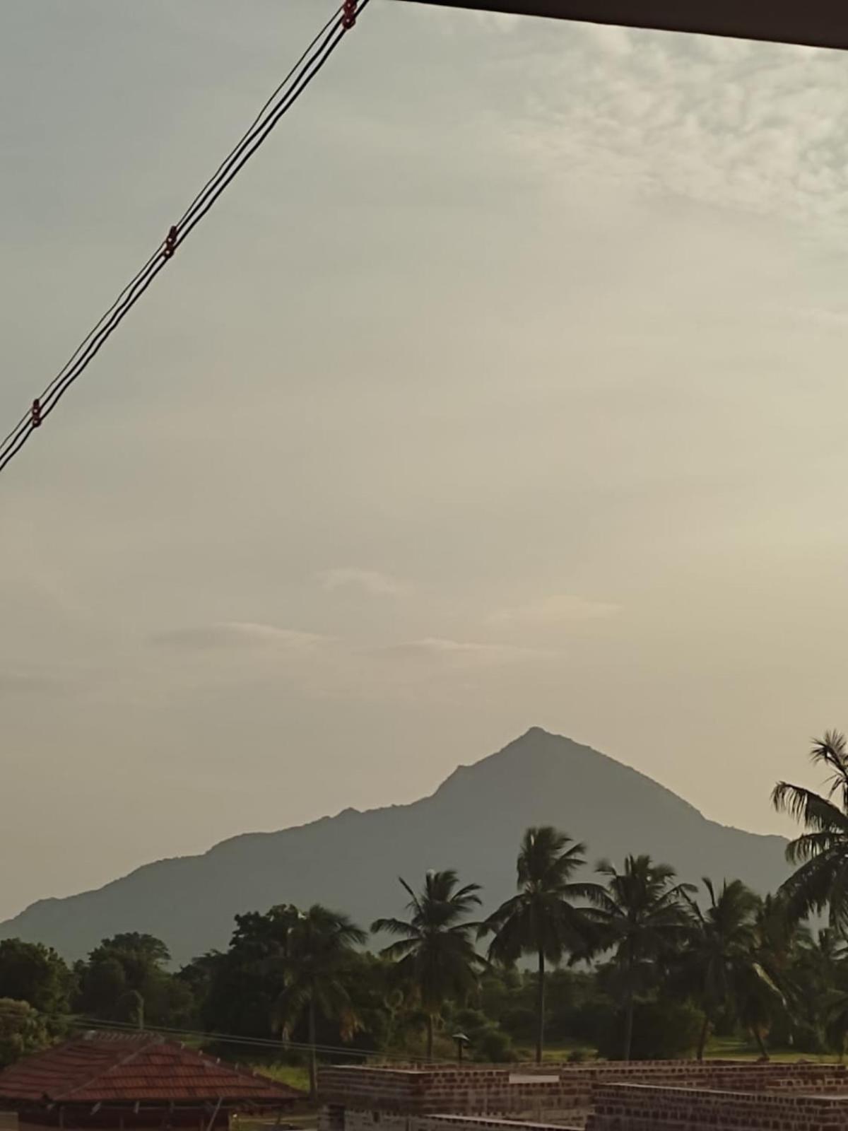 Homestay Mountain View *