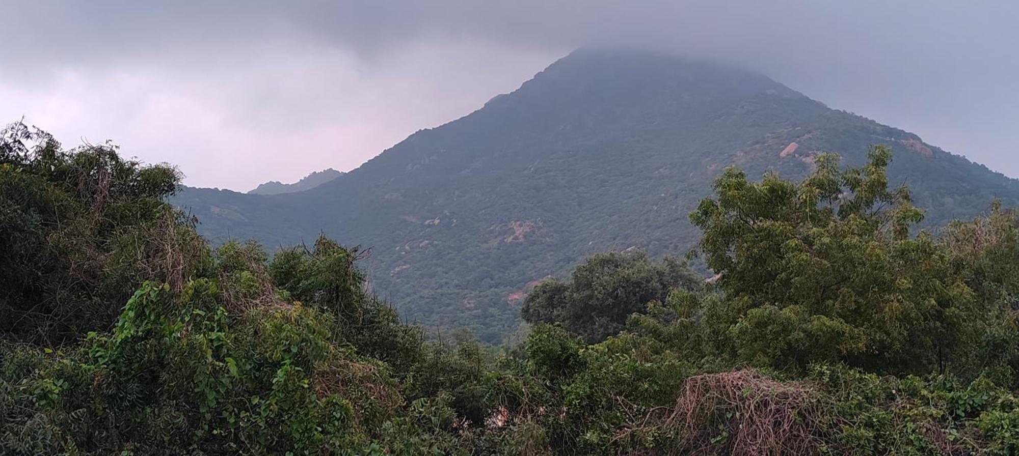 Lodge Guru Krupa Amma