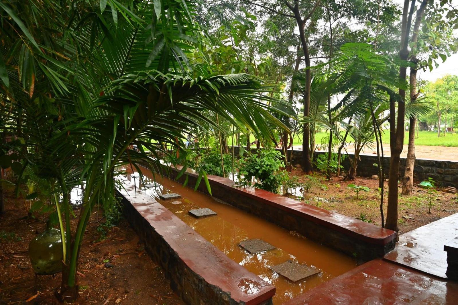 Pathayam Farm stay Tiruvannamalai