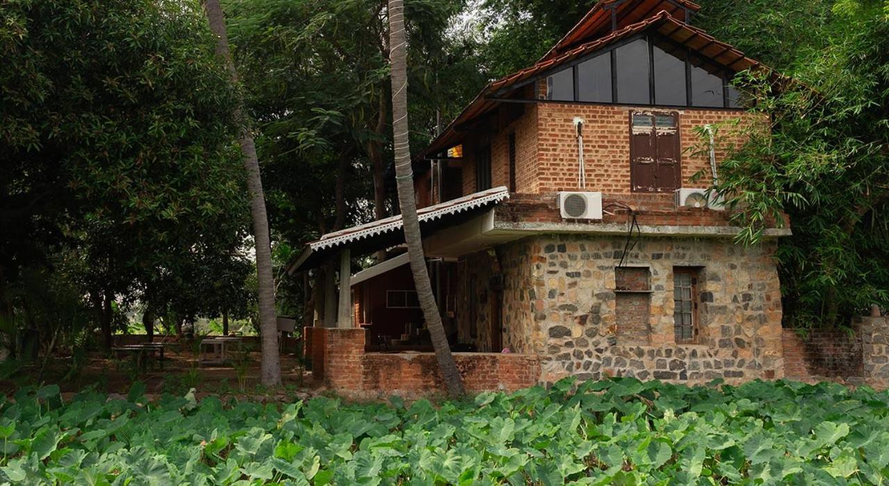 Pathayam Farm stay Tiruvannamalai