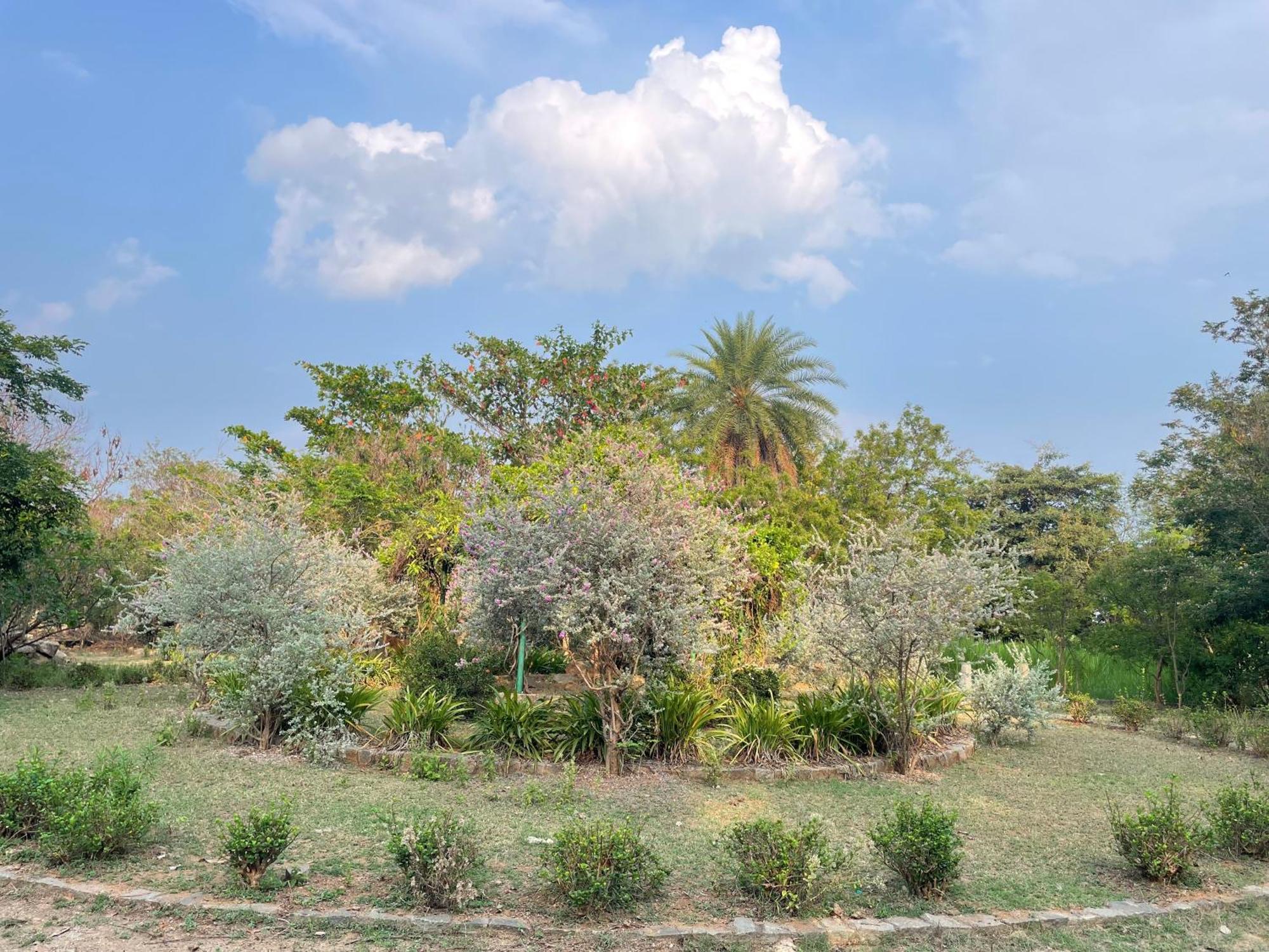 Sri Anantha Niketan Ashram