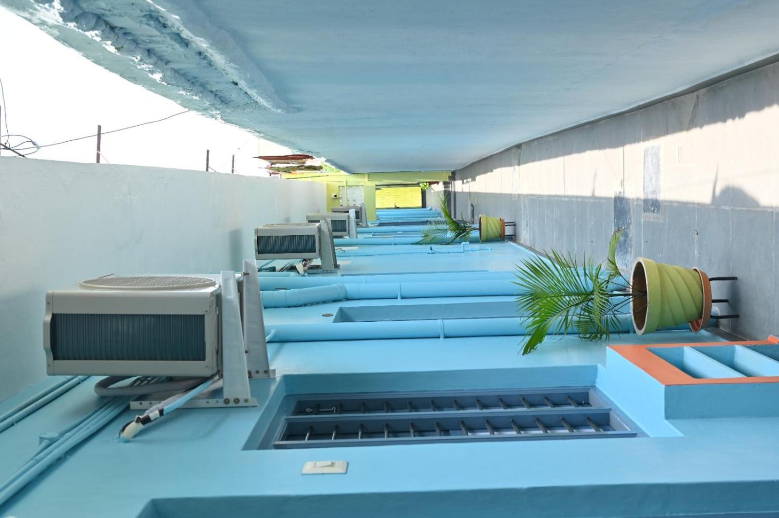 Shree Chendur Residency, Suprapath Homestay