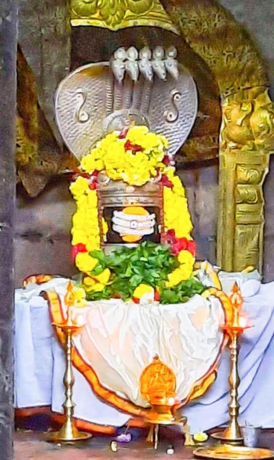 Homestay Sidharth Homes Tiruvannamalai