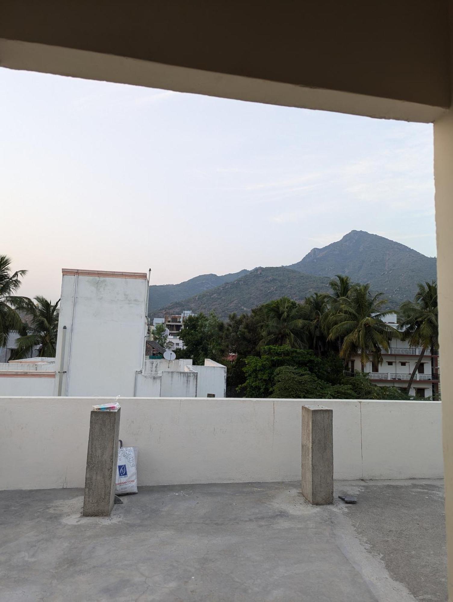 The Divine * Tiruvannamalai