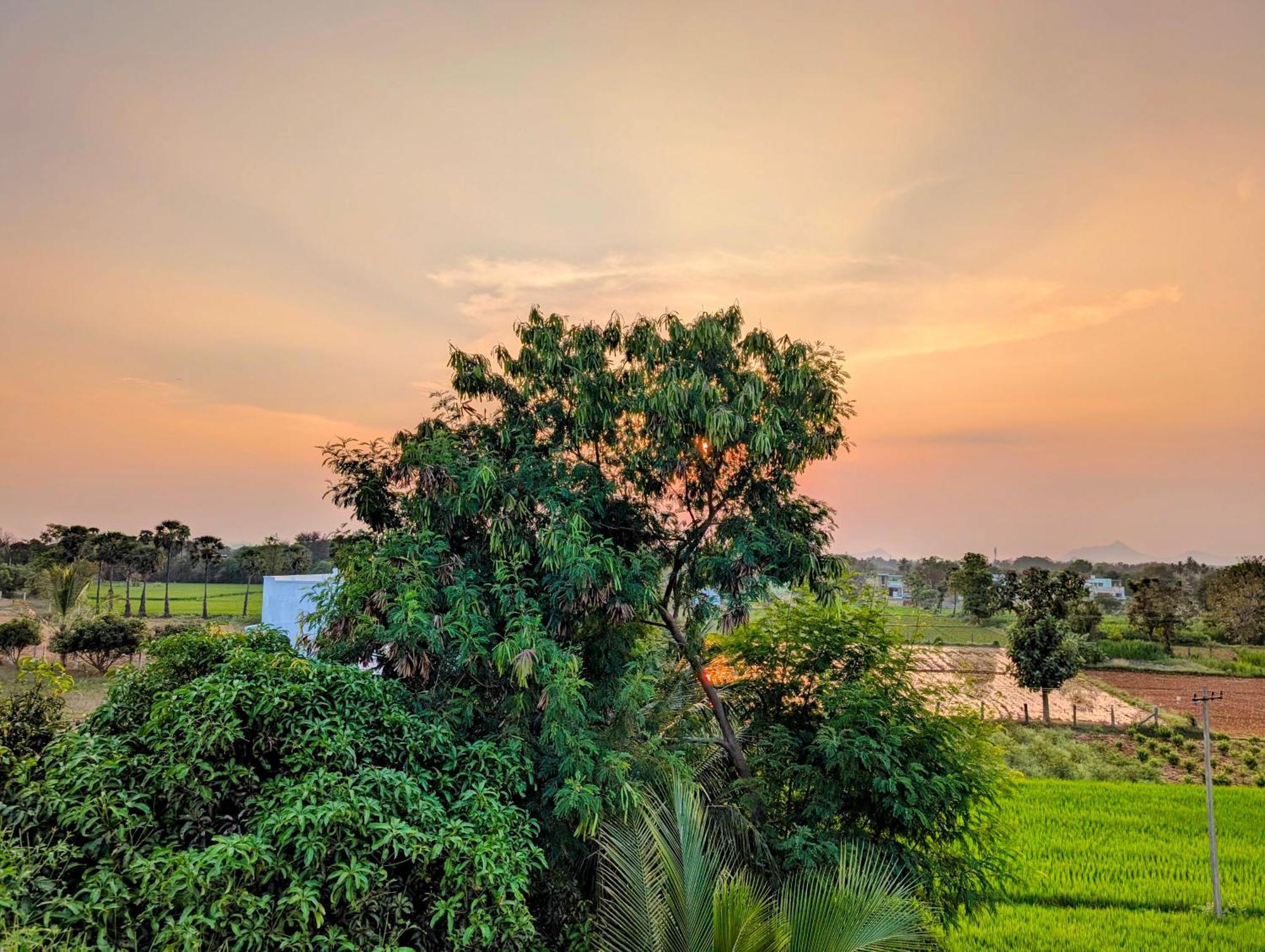 Yellowra Tiruvannamalai