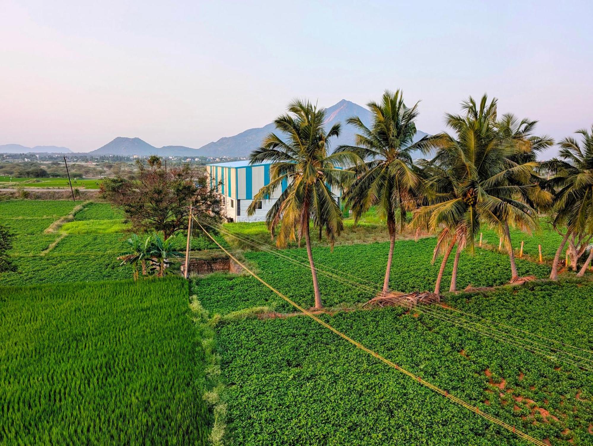 Yellowra * Tiruvannamalai
