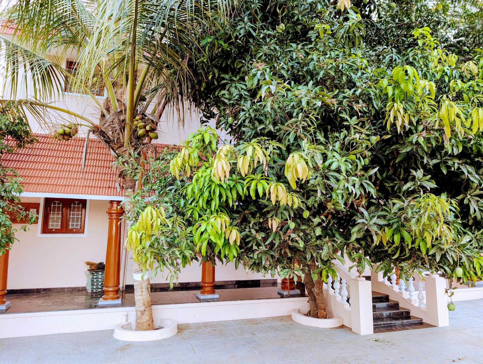 Villa Yellowra Tiruvannamalai