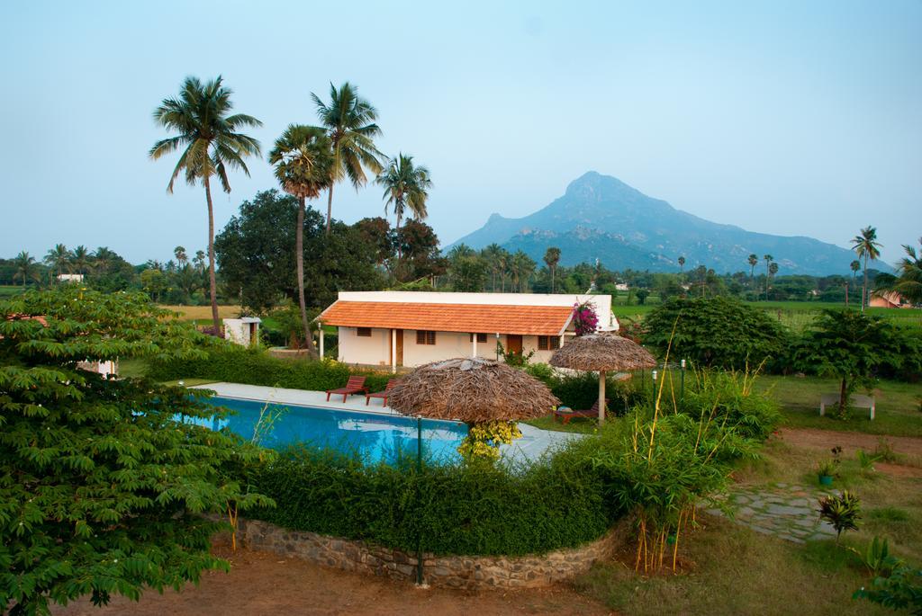 Guest house The Mountain Retreat *