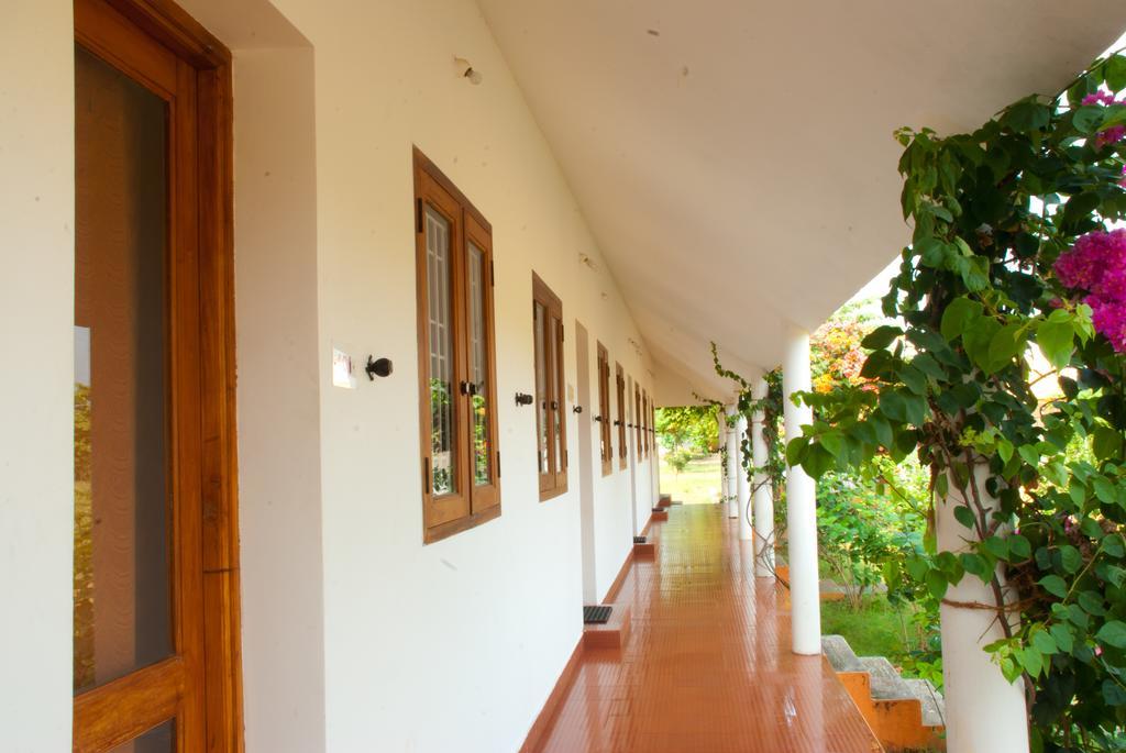 The Mountain Retreat Tiruvannamalai