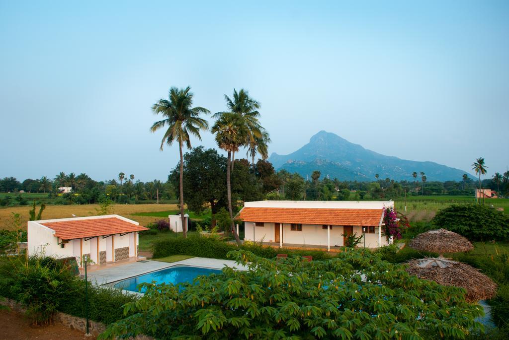 The Mountain Retreat Tiruvannamalai