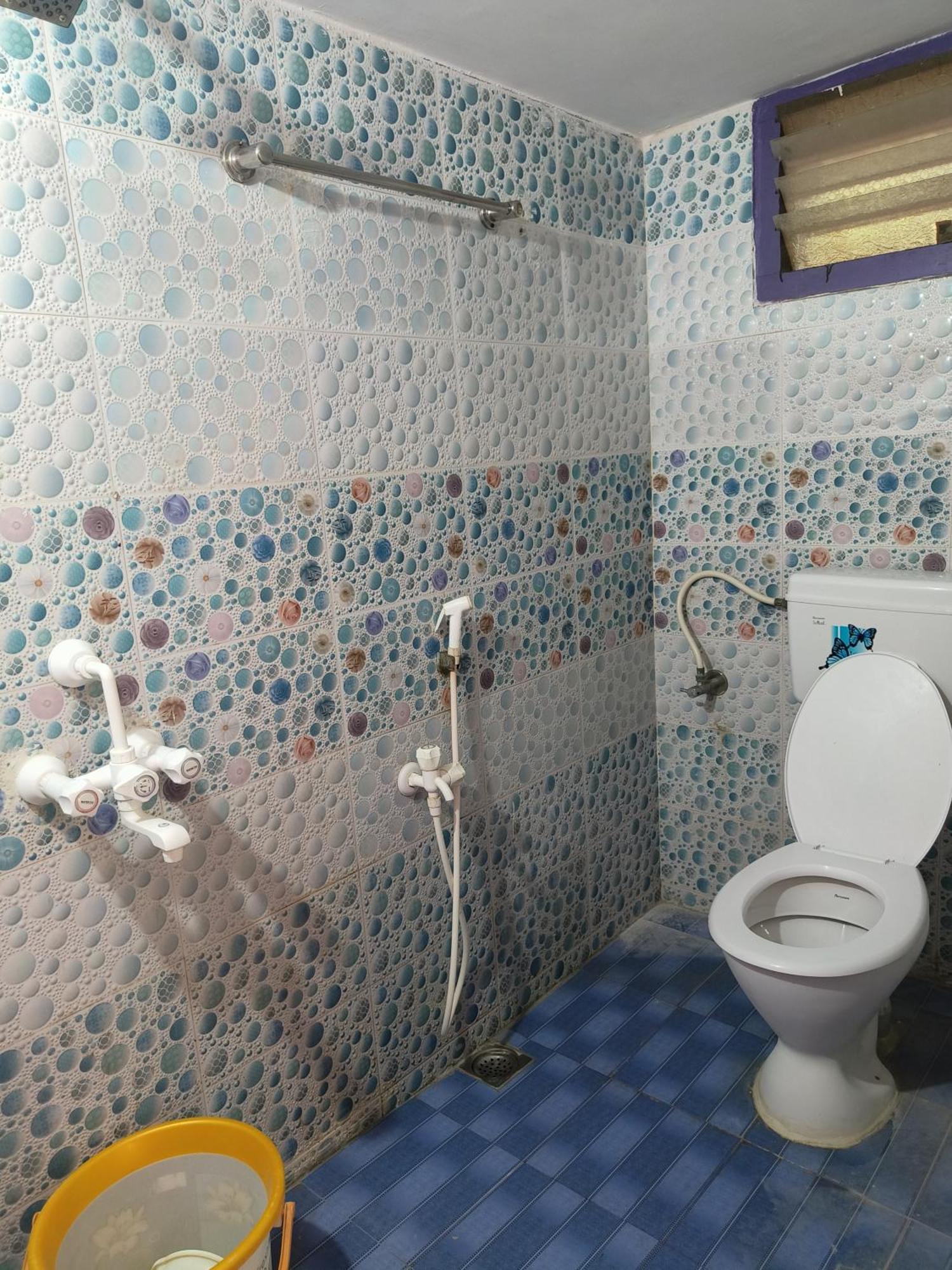 Guest house Liya *