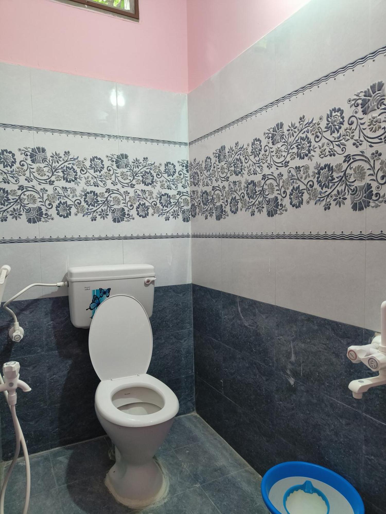 Liya Guest house *