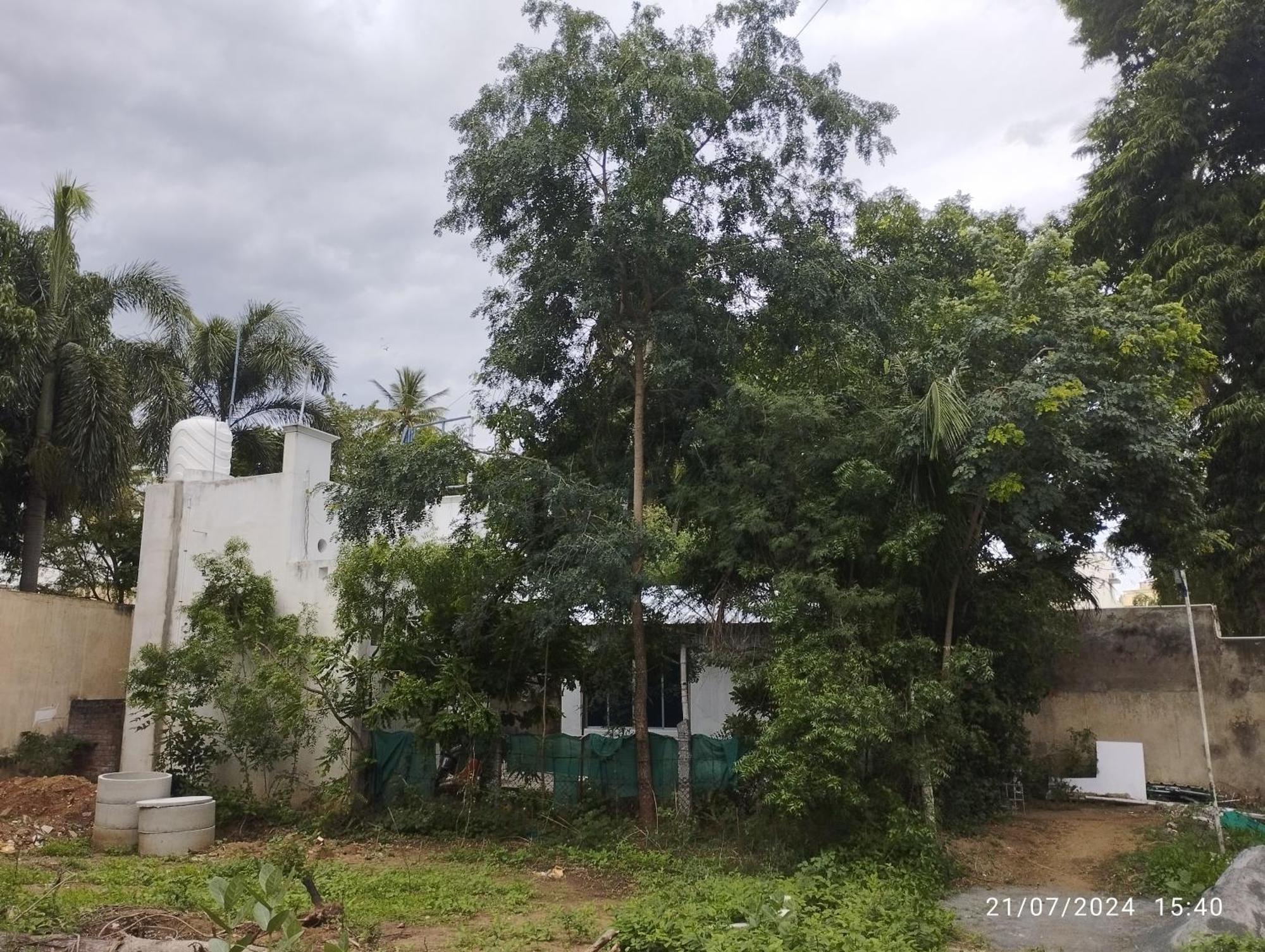 Bed & Breakfast Hanuman House Tiruvannamalai