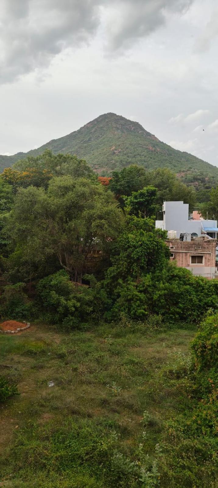 Siva Palace Hotel