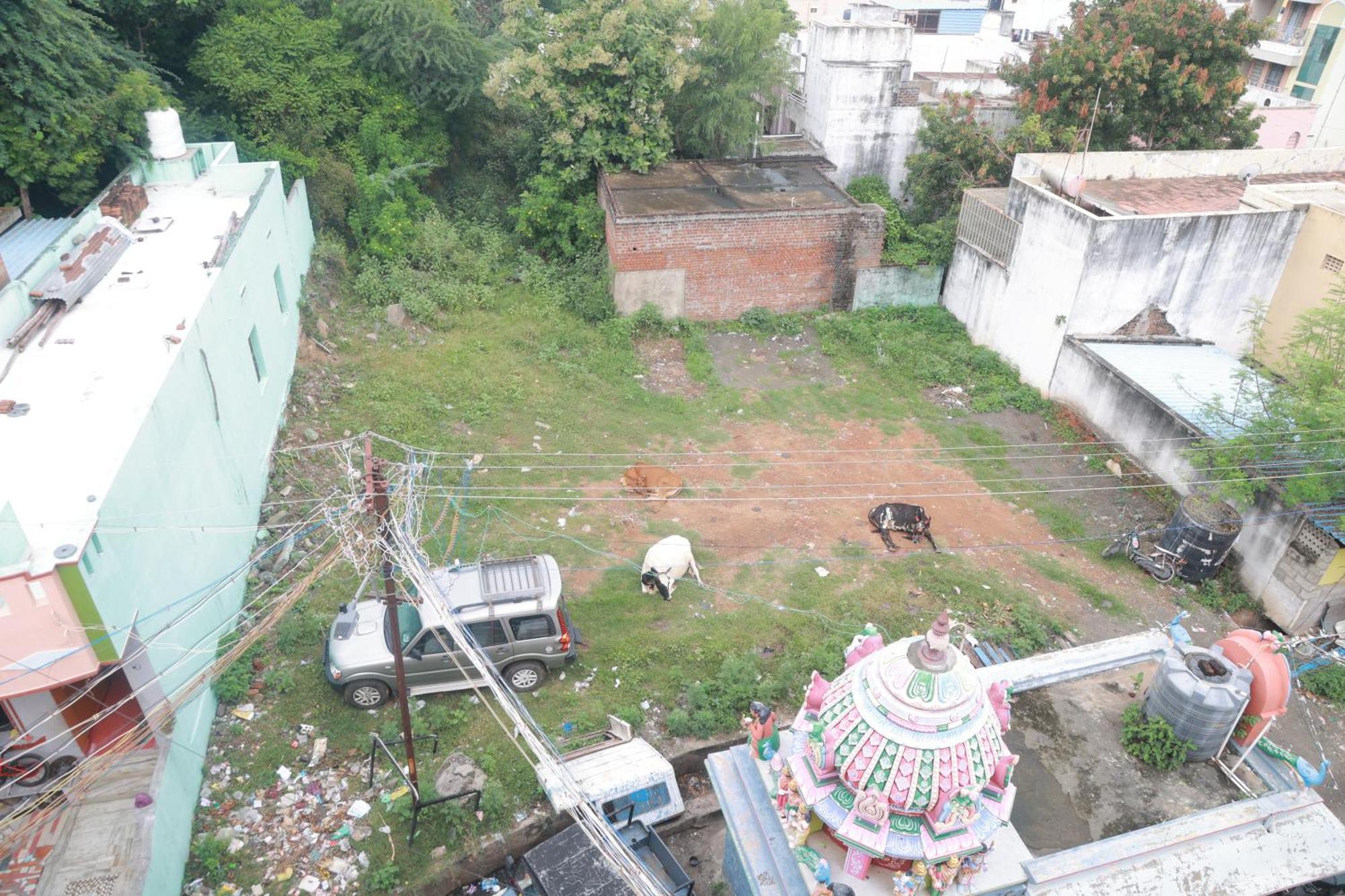 Homestay Tms Tiruvannamalai