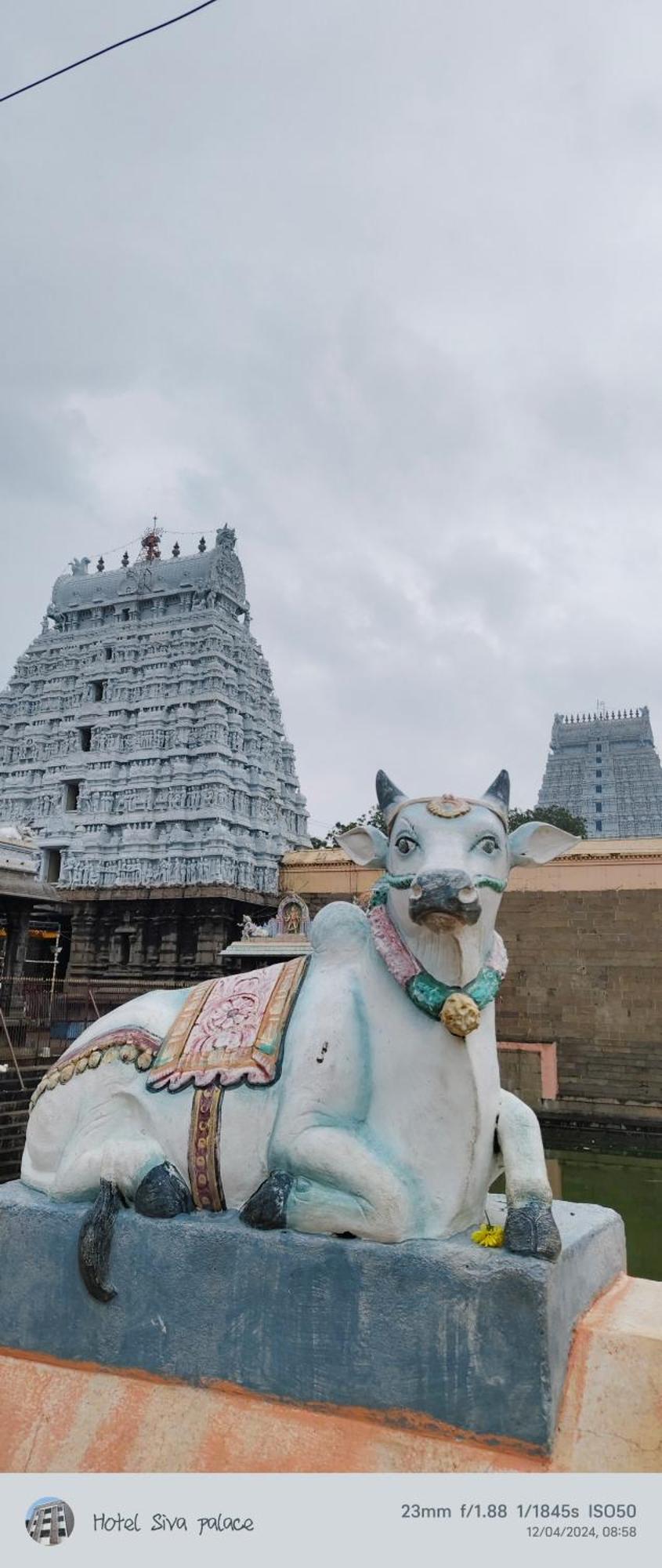 Siva Palace Hotel Tiruvannamalai